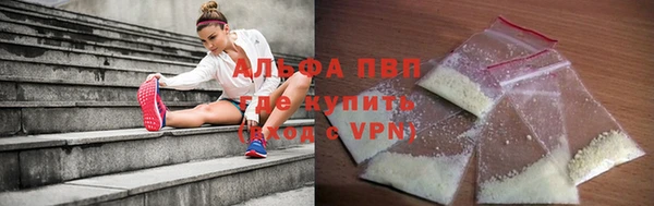 шишки Лабытнанги