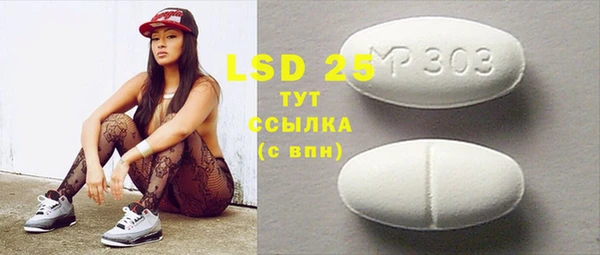 шишки Лабытнанги