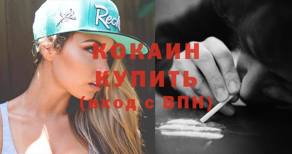 шишки Лабытнанги
