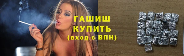 шишки Лабытнанги