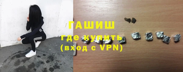 шишки Лабытнанги