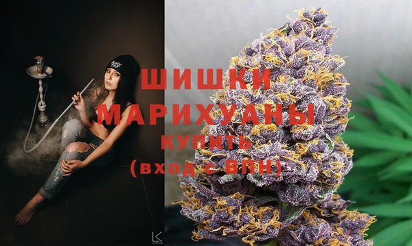 ПСИЛОЦИБИНОВЫЕ ГРИБЫ Ладушкин