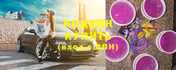 шишки Лабытнанги