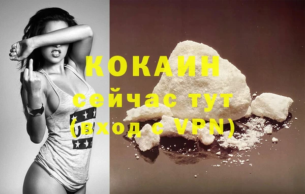 шишки Лабытнанги