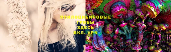 ПСИЛОЦИБИНОВЫЕ ГРИБЫ Ладушкин