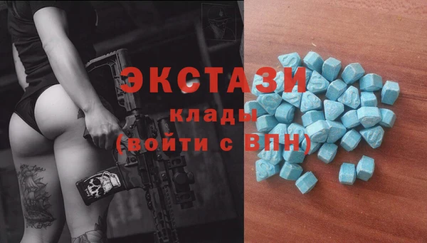 шишки Лабытнанги