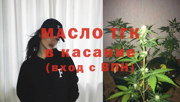 шишки Лабытнанги