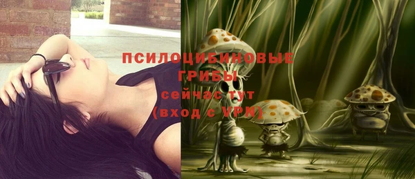 шишки Лабытнанги