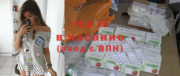 шишки Лабытнанги